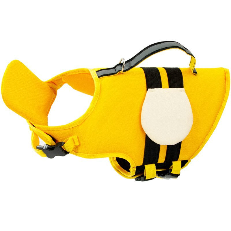 Splash Bee